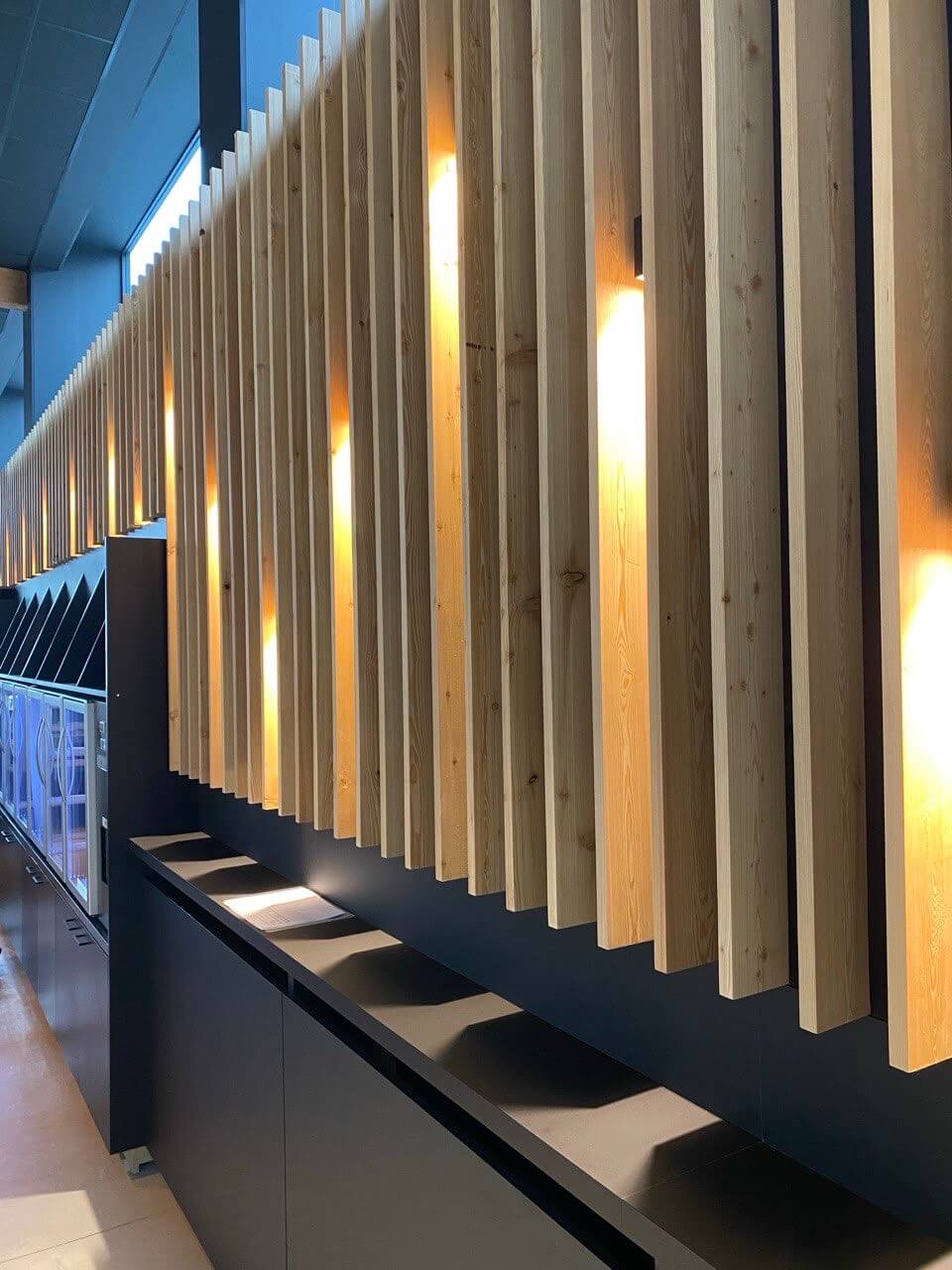 Projekt - Šport pub Brusel